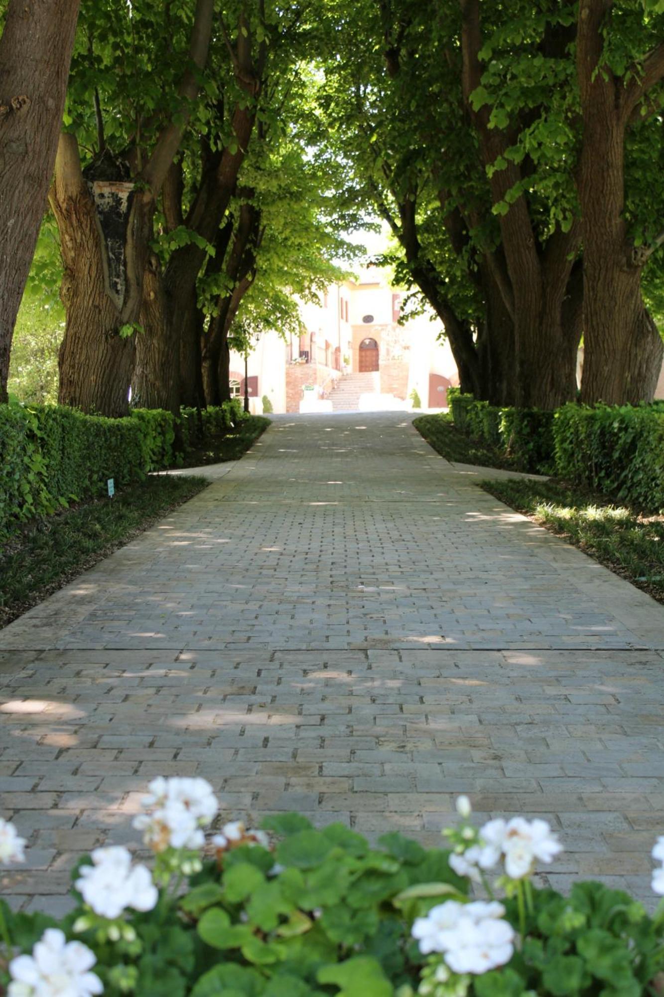 Bed and Breakfast Palazzo Del Poggiano Poggio Berni Zewnętrze zdjęcie